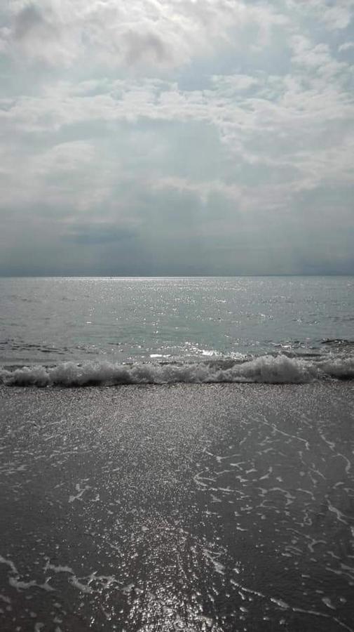 Penbryn Holidays, Barmouth Dış mekan fotoğraf